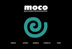 Moco HR Consulting screenshot